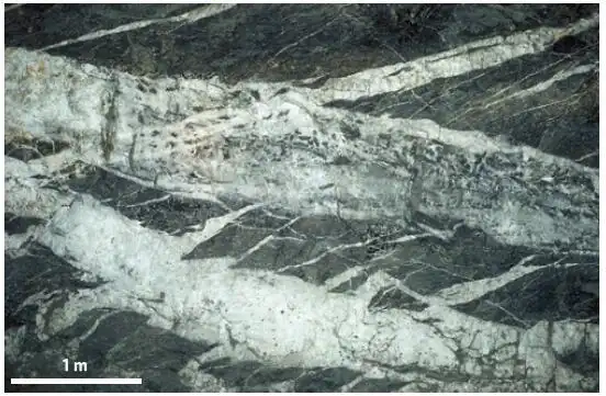 断层阀模式形成的含金石英脉(来自文献1)