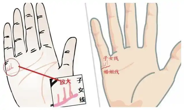 从手相看你的子女运(配图)|子女|婚姻线|手相_新浪新闻