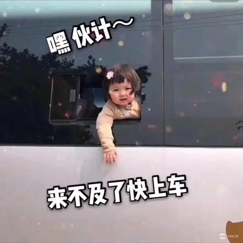 车找人,浙江温州乐清-景德镇北高速口