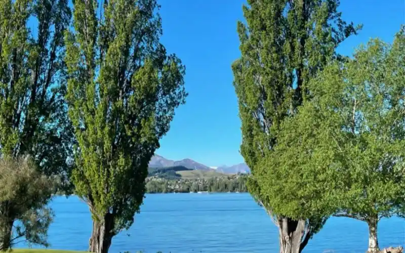 新西兰瓦纳卡湖～孤独的树～在湖边悠闲地走一走