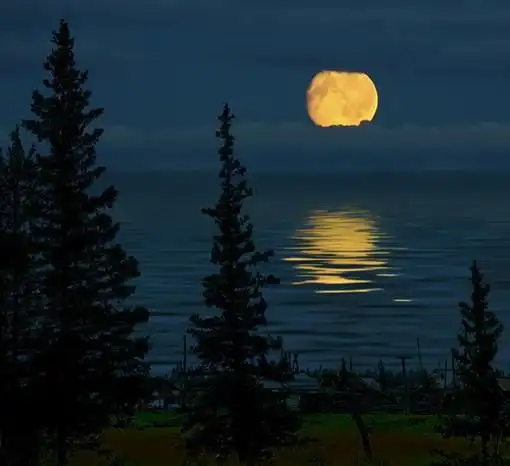 唯美的明月,月亮小清新图片欣赏