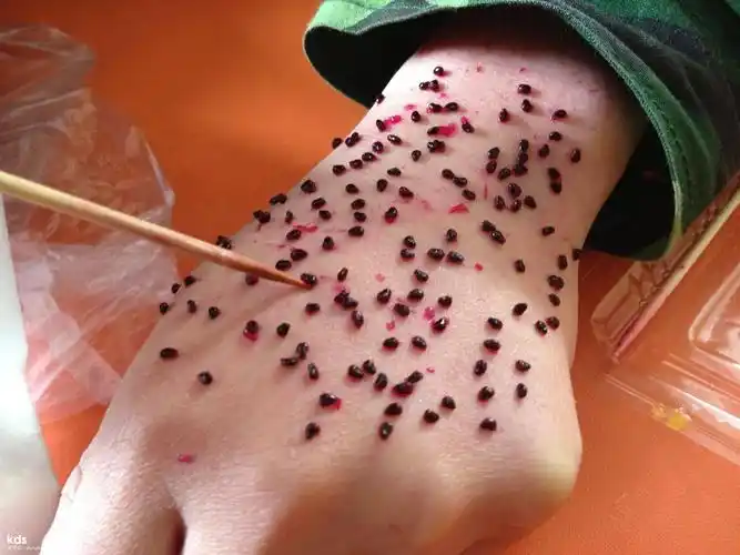 谁来发点密集恐惧症的图片?