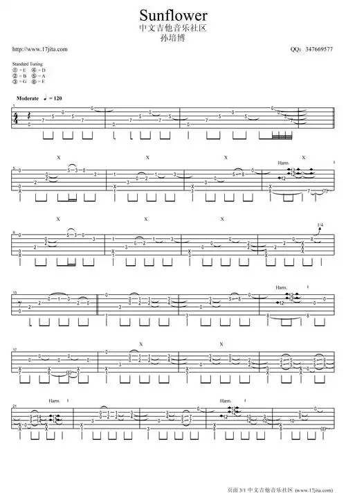 太阳花吉他谱 指弹版 孙培博sunflower歌曲