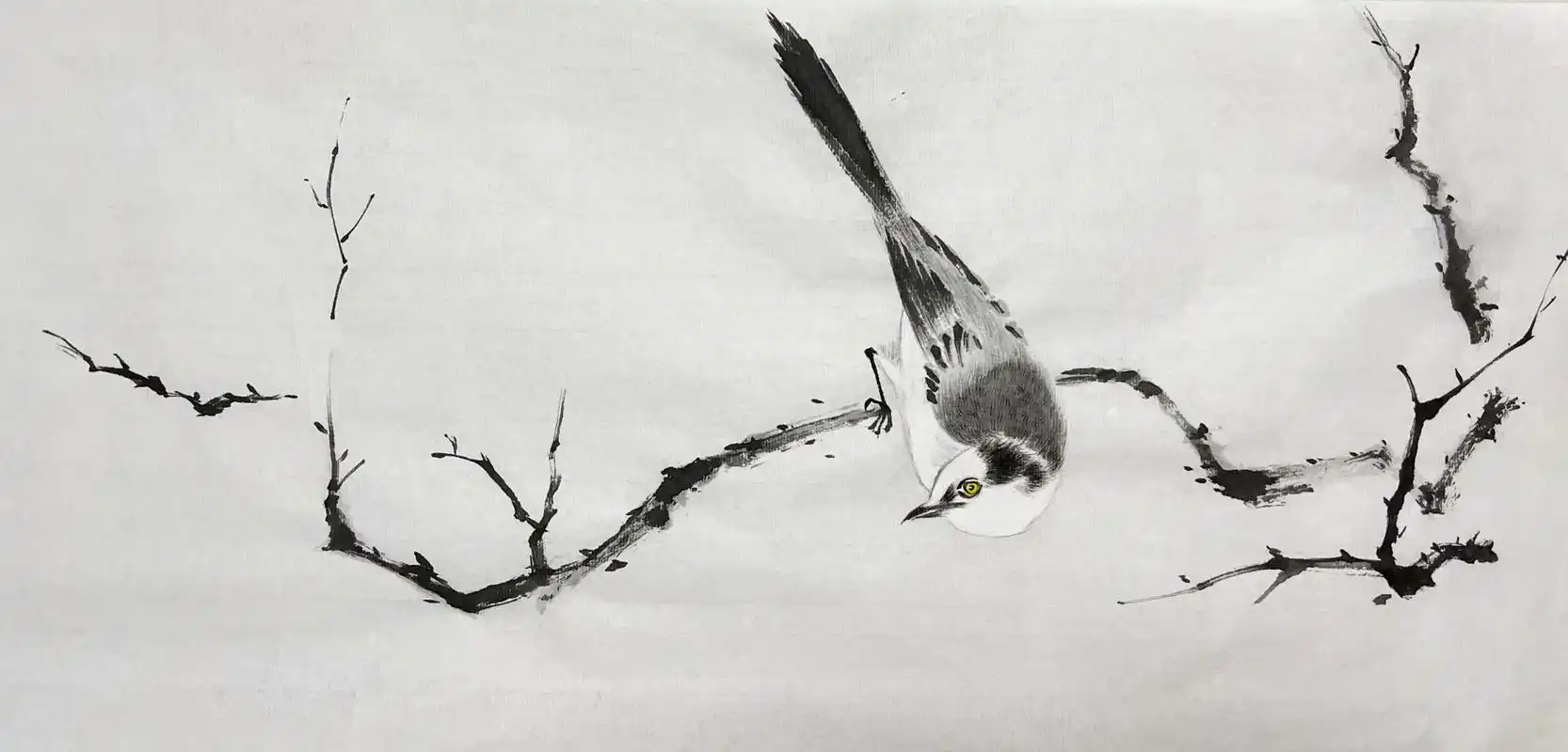 画鸟的乐趣.#花鸟 #水墨写意 #水墨人生 #国画 #写意花 - 抖音