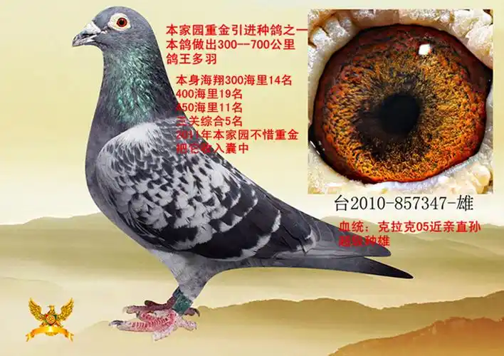 克拉克05直孙【台10-857347】