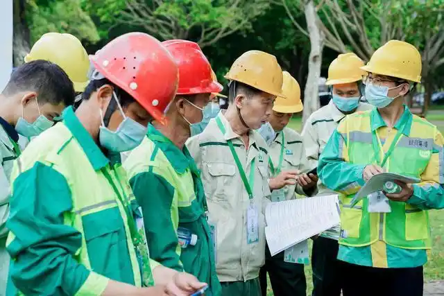 在深圳,"花艺师""园艺师"大家可能耳熟能详,而"树艺师"却是大多数人都