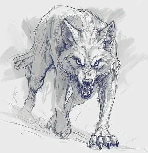 🐺恶狼速写灵感与素材大集合!