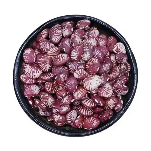 熊猫豆5斤1斤 农家自产猫眼豆 花饭豆 菊花豆 花斑豆五谷杂粮 斑马豆
