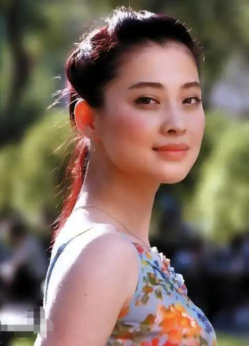 梅婷个人资料梅婷的情史和成名史