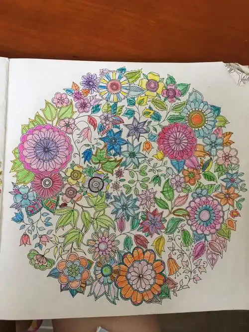 秘密花园的涂色,当时火起来的时候太受欢迎了