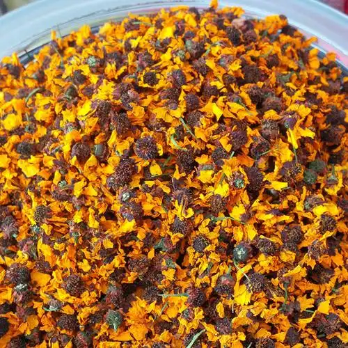 西藏野生雪菊50g盒高原冰山雪菊三高养生茶高山菊花茶包邮