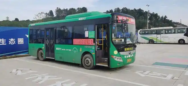 塘井市场,塘井路口,鸿裕百货,白石客运站,白石实验学校,沿湖路口