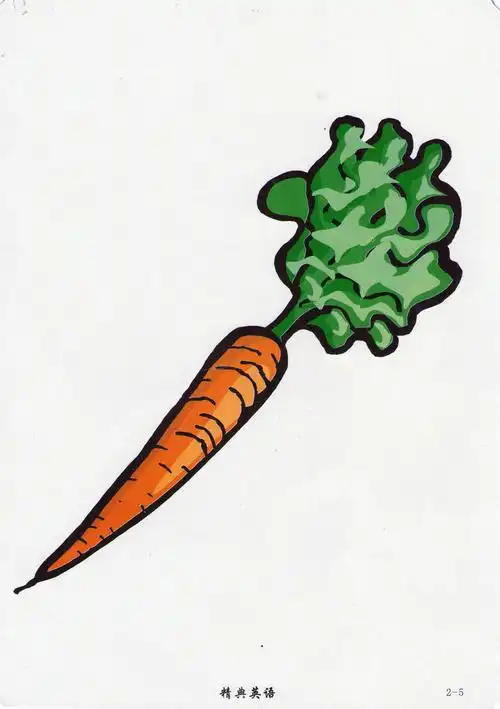 英语单词 carrot(胡萝卜)