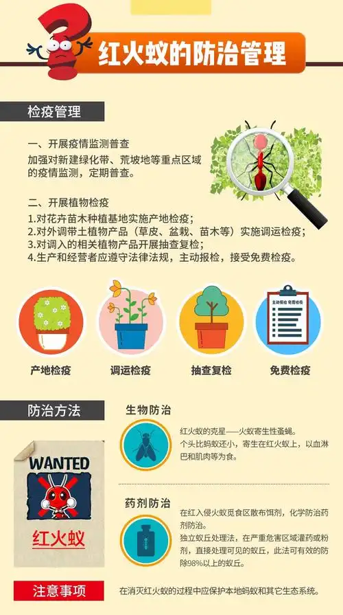 【惠城区第二十八小学】一图读懂 | 红火蚁科普小知识.