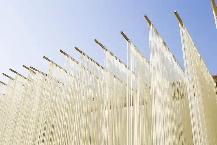 台州临海特产垂面微咸竹竿索面条劲道油面纯手工方便挂面粉无添加