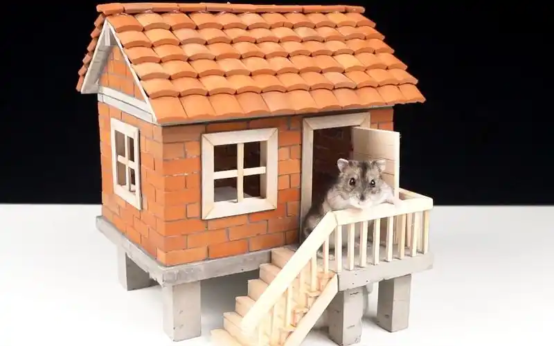 【手工制作】用小砖块为可爱的仓鼠砌一个小房子,没想到它这么喜欢