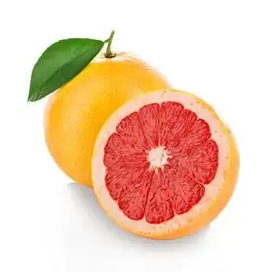 葡萄柚隔离图片-葡萄柚隔离素材-葡萄柚隔离插画-摄图新视界