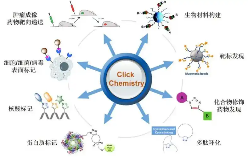 生物孵化器主题讲座点击化学的发展及其在化学生物学领域的应用的通知