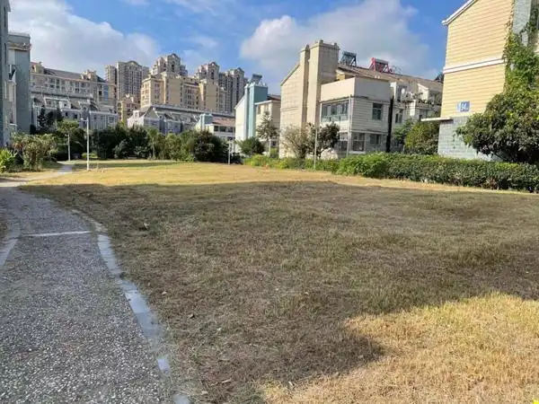 泰州凤凰街道:刷新社区"颜值" 助力文明城市创建