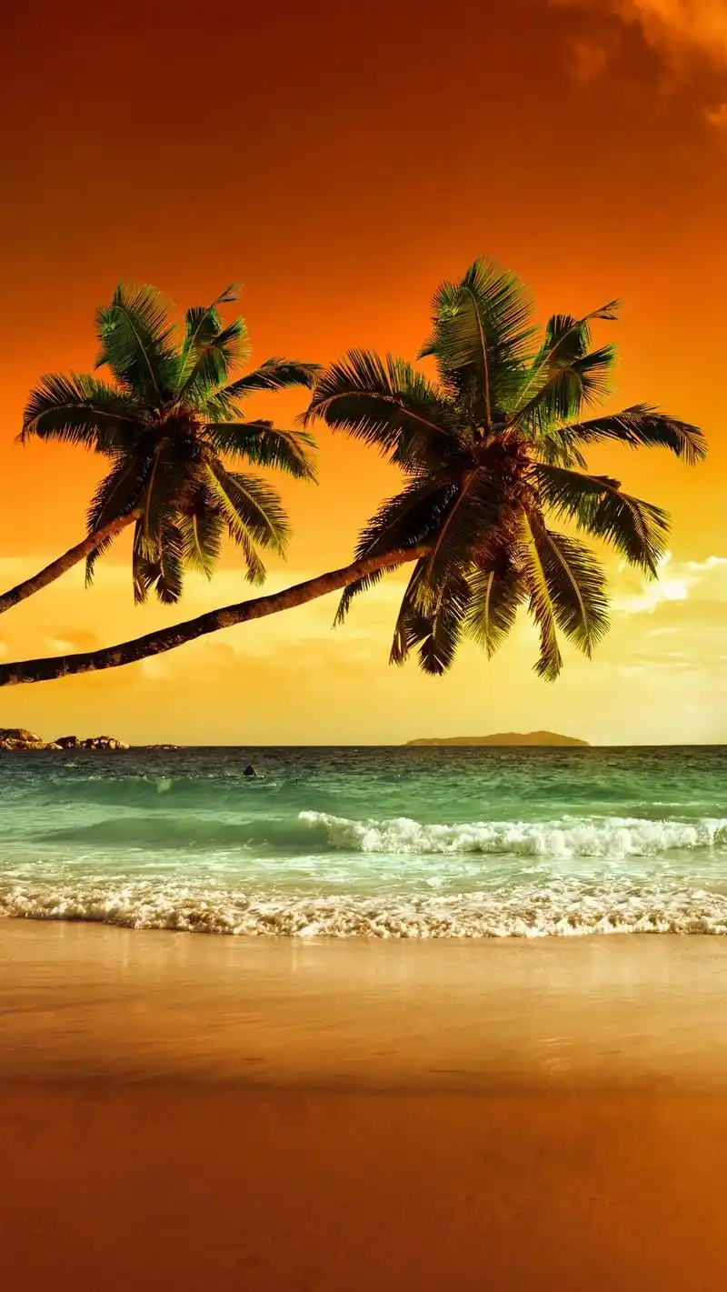 夕阳素材视频无水印 - 抖音