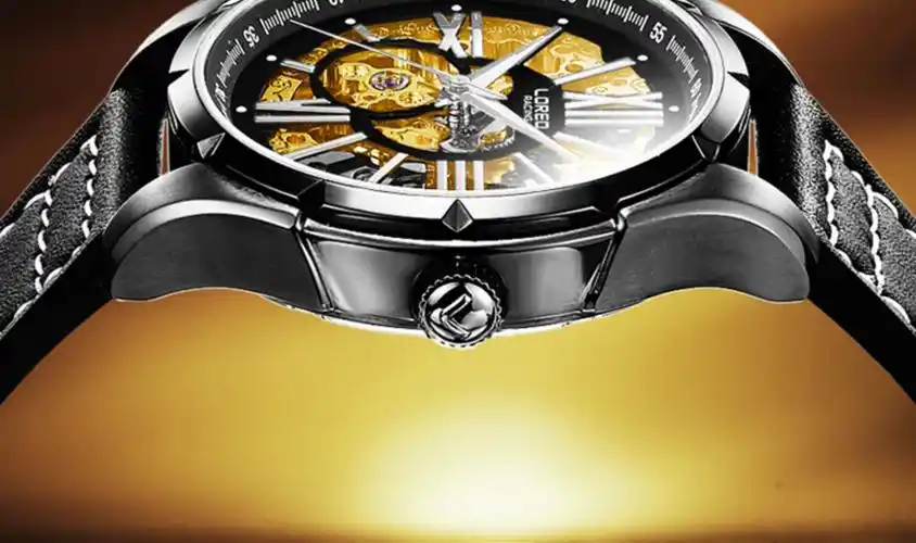 雷力欧手表男士2022年新款全自动机械表防水夜光十大镂空品牌男表