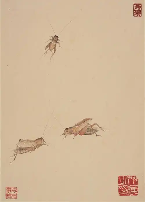 0085 蟋蟀 镜框 设色纸本