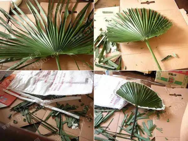 葵扇的做法_教你做diy大葵扇 - 废物利用手工diy小制作 - 51费宝网