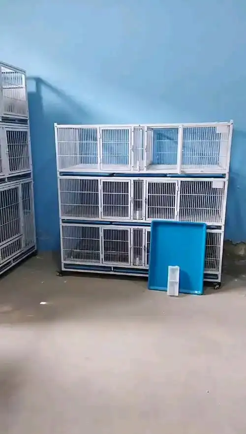 方门碰锁小六屋- 鸽友圈 - 中国信鸽信息网