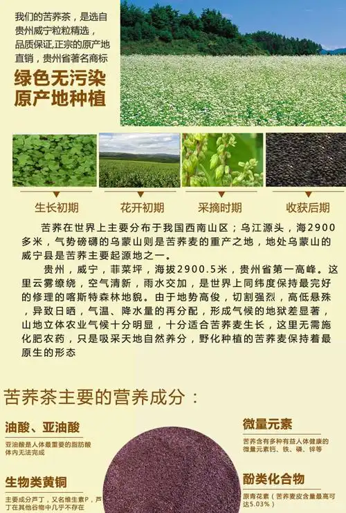 正品可渡河苦荞茶养生茶高端茶礼盒