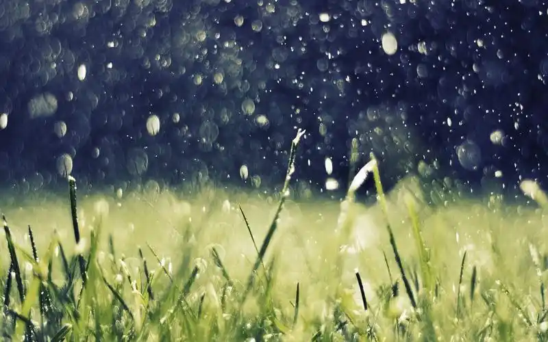 夏日雨后风景高清桌面壁纸