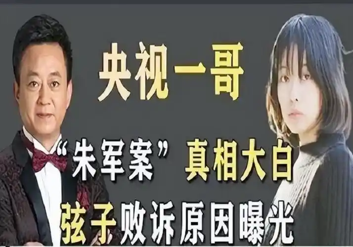 朱军和弦子案件最终结果(真名叫什么被判多少年)-新课物网