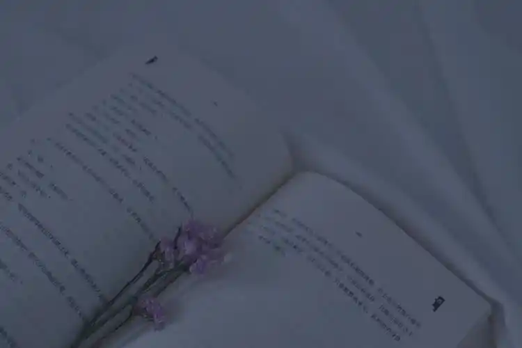 壁纸 桌面壁纸 聊天背景 锁屏壁纸 ins 油画 iphone 【禁商用】