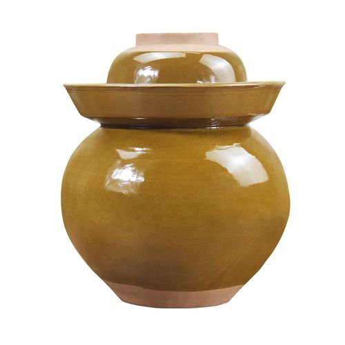 坛子四川陶瓷泡菜家用密封酸菜土陶老式小号密封罐