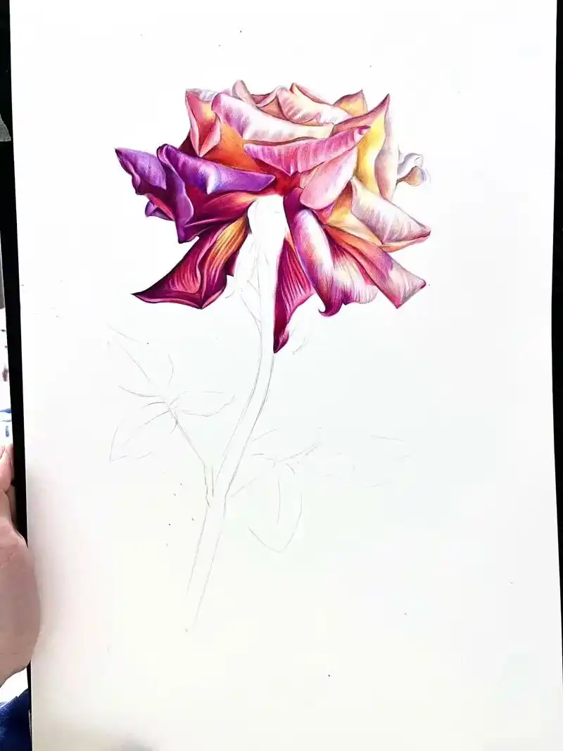 彩铅花卉.#彩铅手绘 #临摹 - 抖音