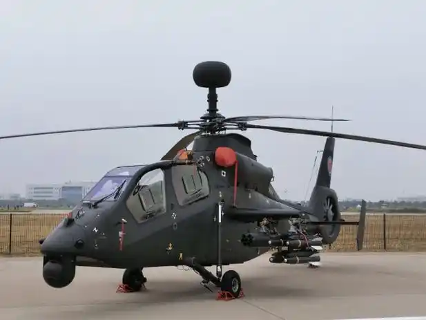 天津直博会上展示的直-19武装直升机.澎湃新闻记者谢瑞强图