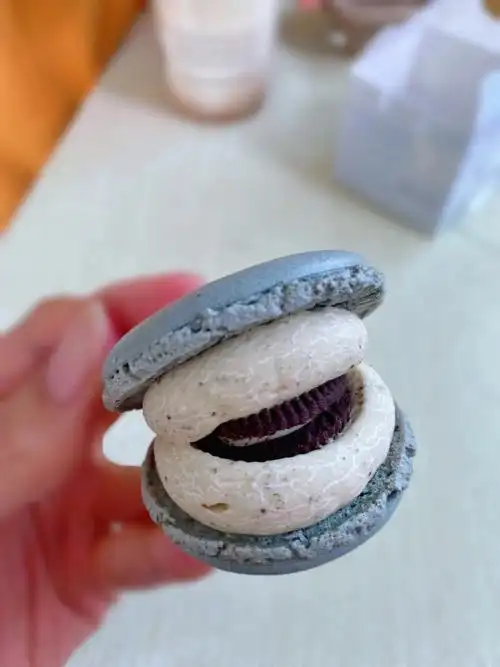 海盐小奥鹿卡龙#美食日常  #甜品  #我的美食日记  #小红书爆款美食