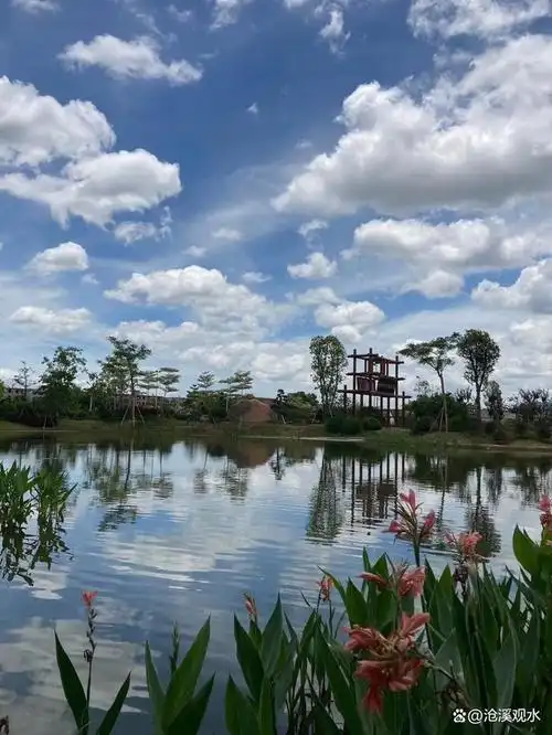 普宁"网红打卡地"——仙洞村生态公园,是一个约5000人的乡村投资600多
