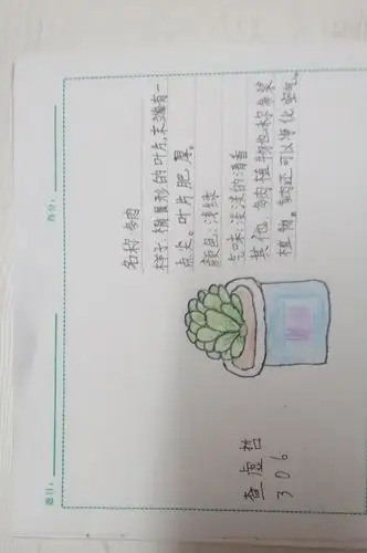 306"我的植物朋友"记录卡