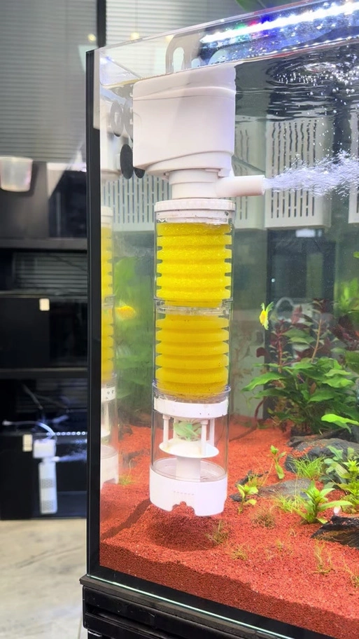 透明马桶水箱养鱼