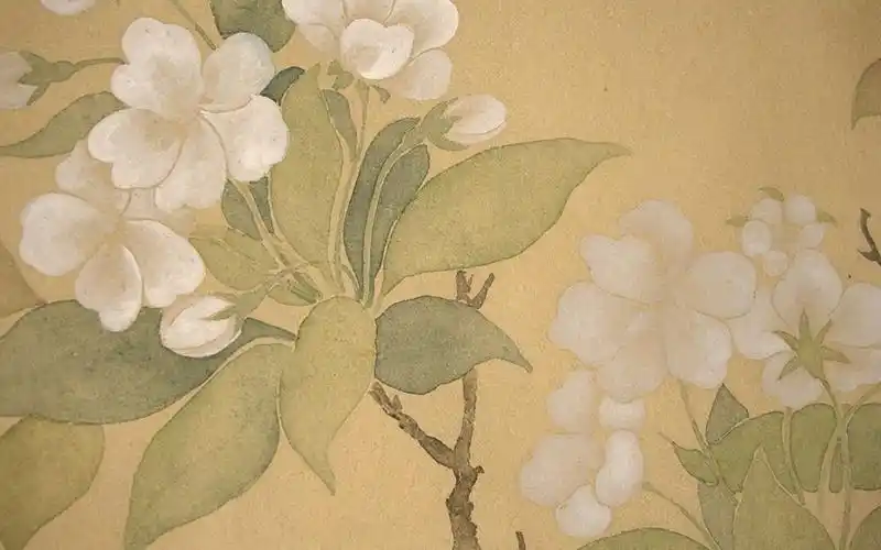 03恽寿平没骨画梨花图临摹教学_花瓣的画法.【枯竹阁】