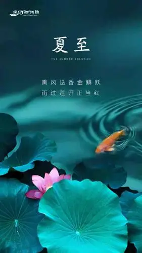 票选夏日悠长2021年夏至房企官宣海报大赏