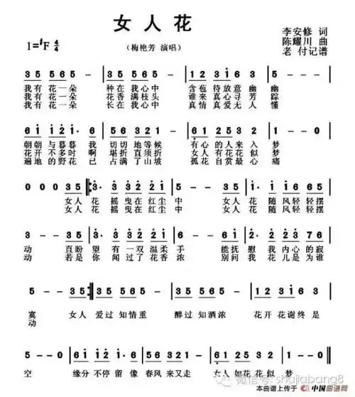 笛子演奏女人花淡定的爱优雅的活