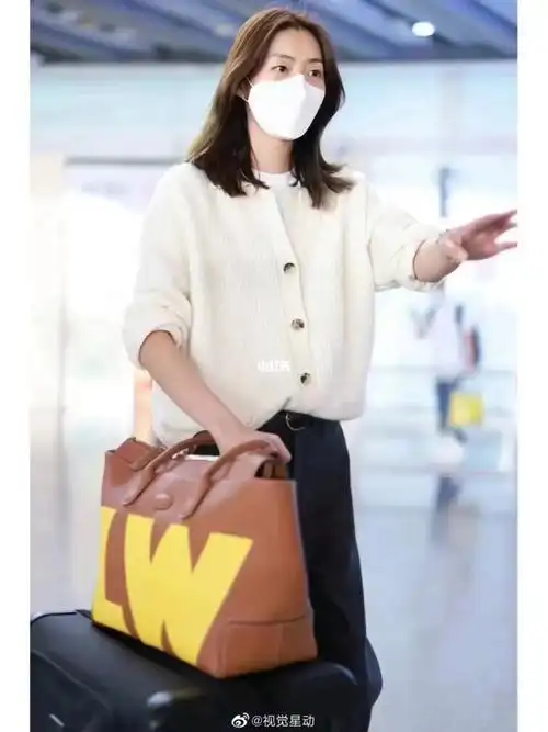 大表姐刘雯和tods的定制dibag包包