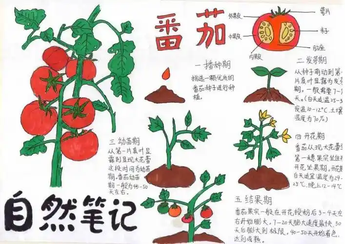 挹秀园| 探索无限可能,分享科技快乐——育秀中学第