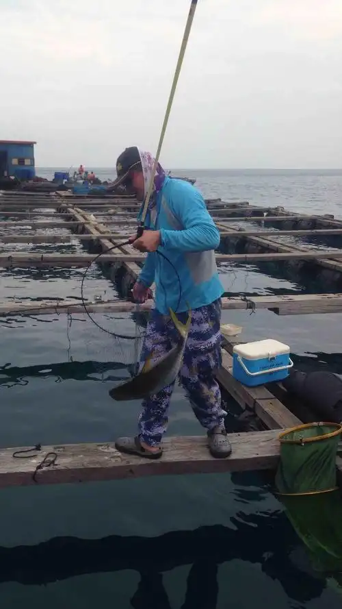 见证大师鱼排筏钓,1.