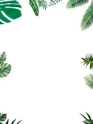 矢量ppt绿色树叶文本边框热带雨林矢量树叶夏天叶子水彩叶子免抠图