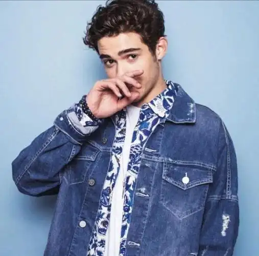 约书亚·巴塞特 (joshua bassett)这个名字,不知道小伙伴们是否听说过