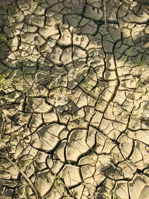 1960年:中国面对自然灾害,砥砺前行,展现人与自然的和谐之旅