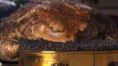 窗外,一只顽皮的黄色小青蛙,正追着一只蝴蝶满院子跑,一会儿停在树枝