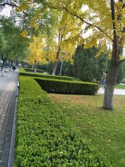 美术馆街心公园